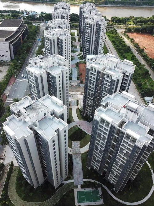 1800元觀廣州塔！商品房客廳改造公寓引熱議，年輕人直呼“慕了”